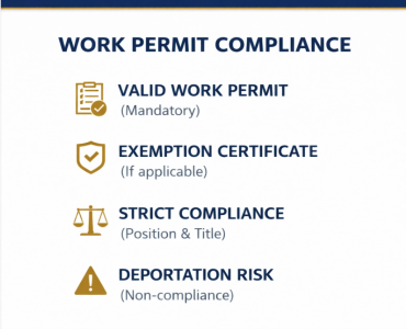 Foreign nationals working in Vietnam